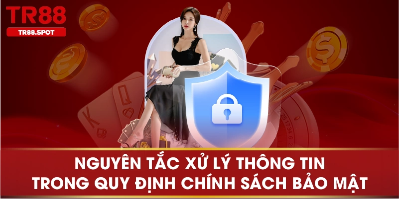 Nguyên tắc xử lý thông tin trong quy định chính sách bảo mật