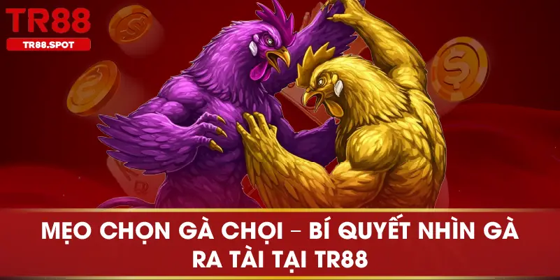 Mẹo Chọn Gà Chọi Bí Quyết Nhìn Gà Ra Tài Tại TR88